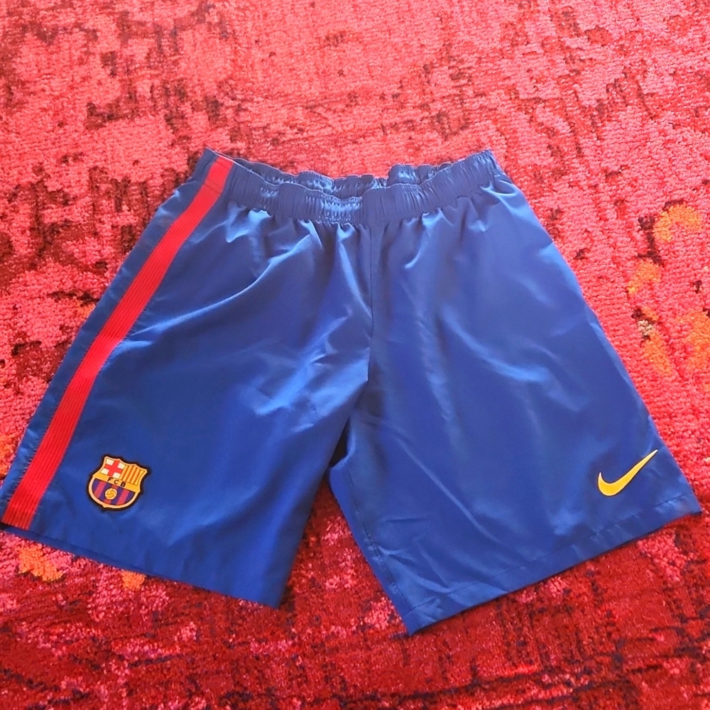 Nike Mens shorts